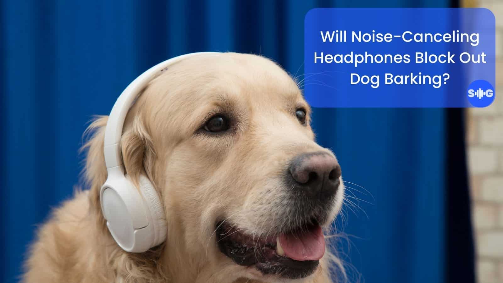 Will Noise-Cancelling Headphones Block Out Dog Barking? (Explained)